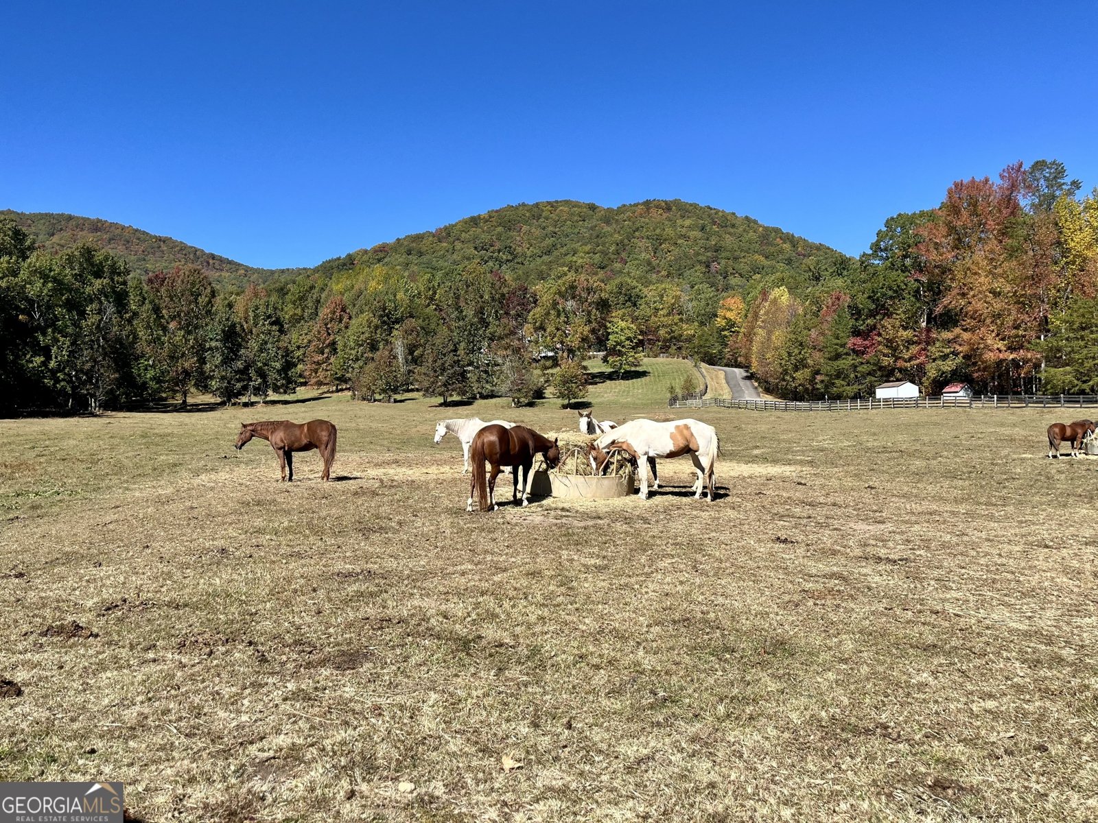146 Canyon Pass Cleveland - 13