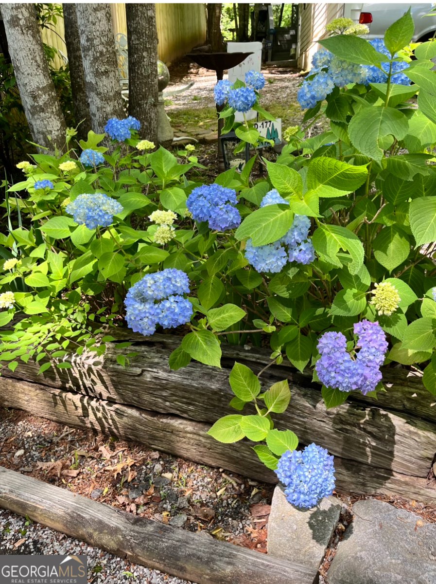 146 Canyon Pass Cleveland - 20