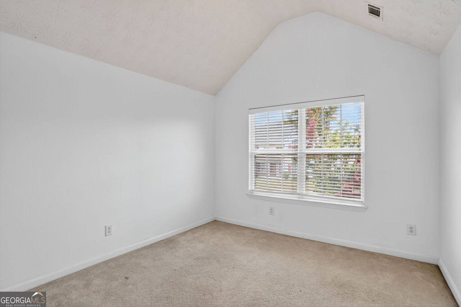 2693 Austin Ridge Drive Dacula - 18