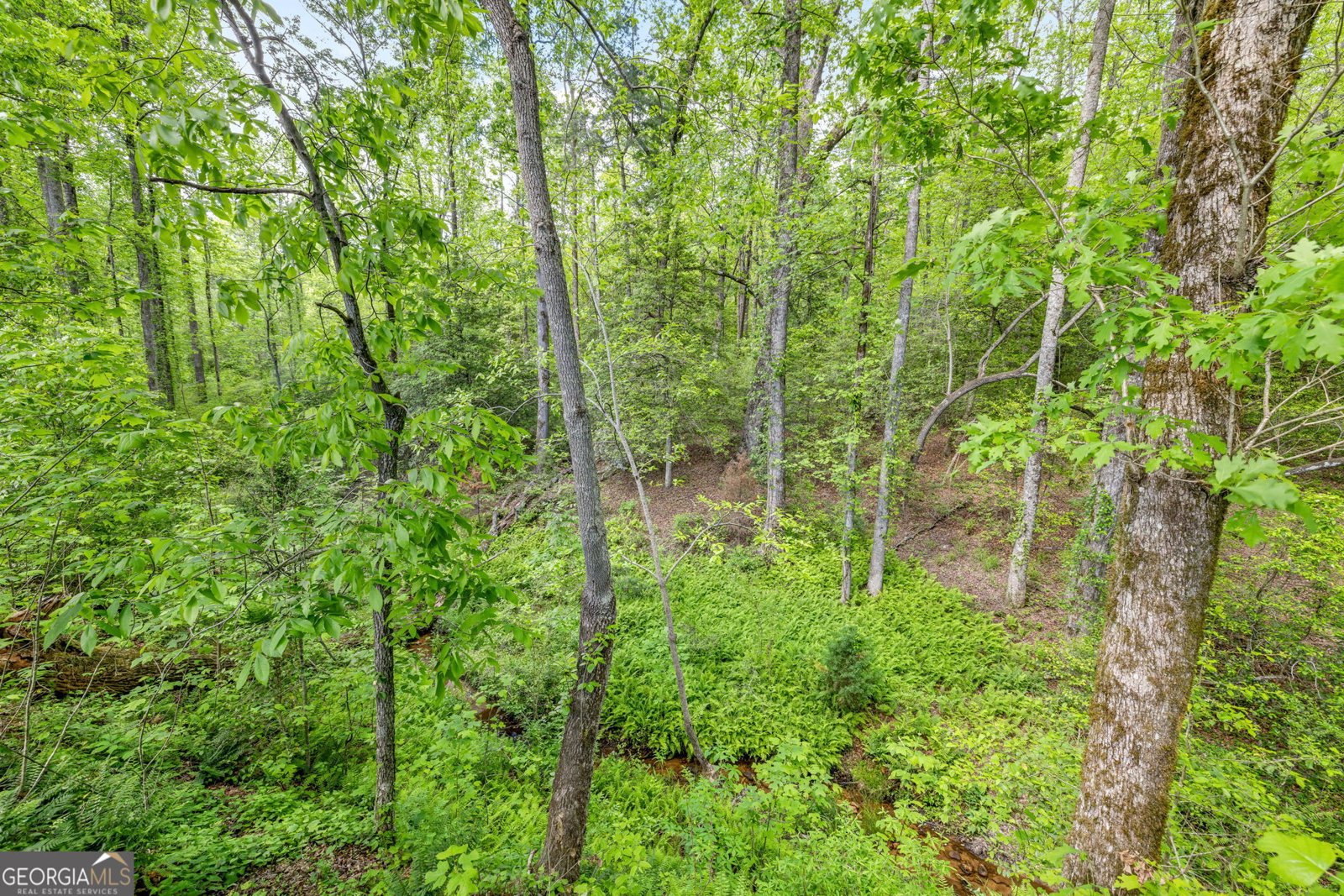 135 Mountain Ridge Drive Clarkesville - 1