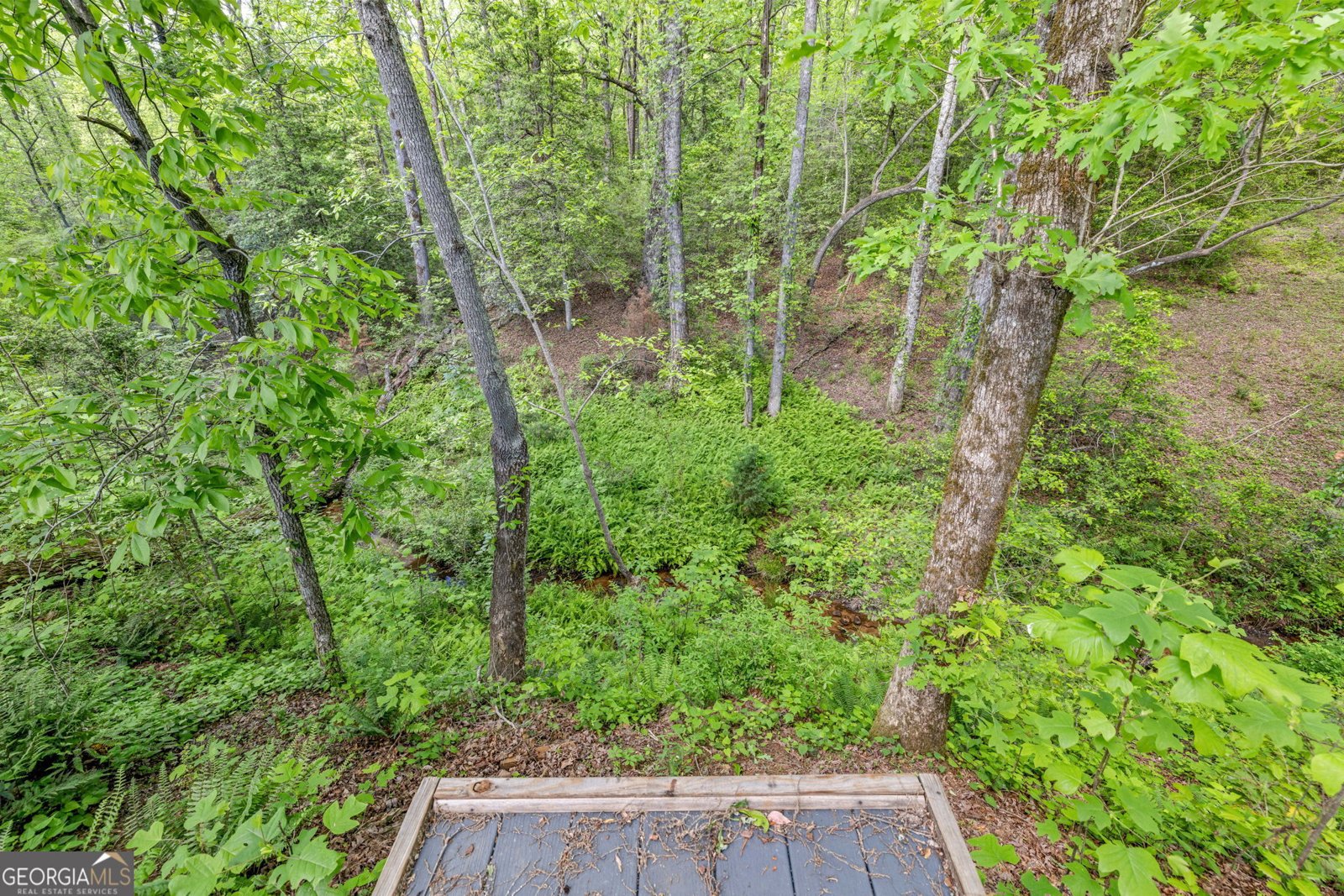 135 Mountain Ridge Drive Clarkesville - 2