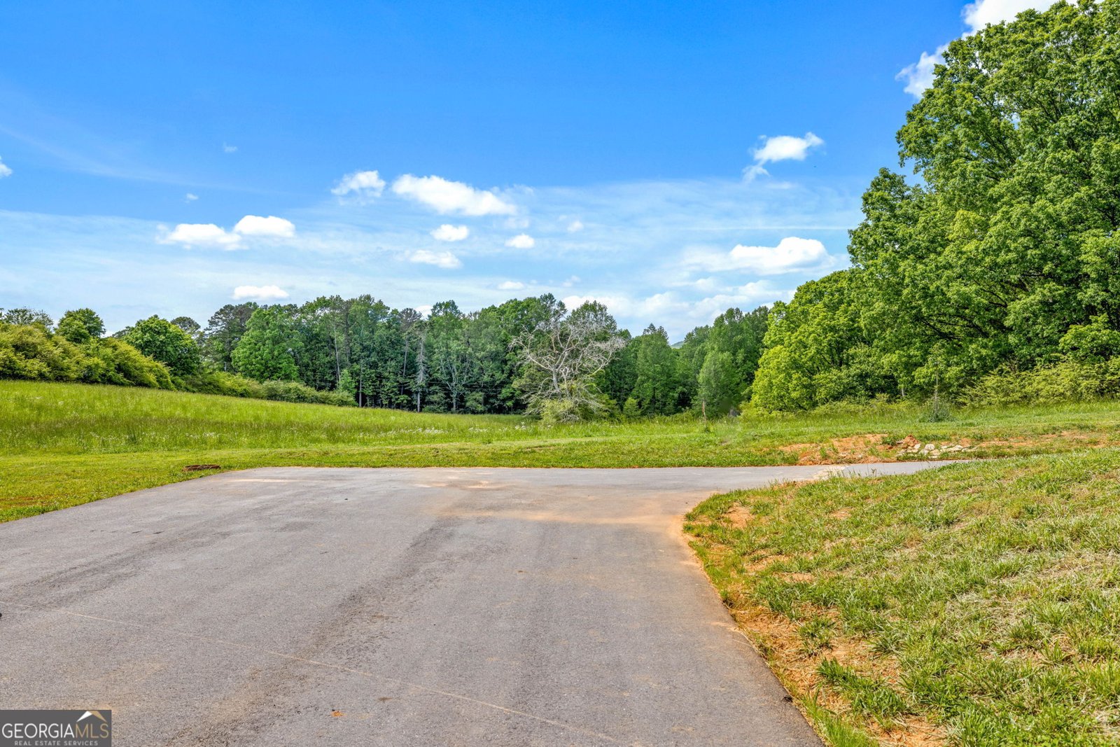 135 Mountain Ridge Drive Clarkesville - 38