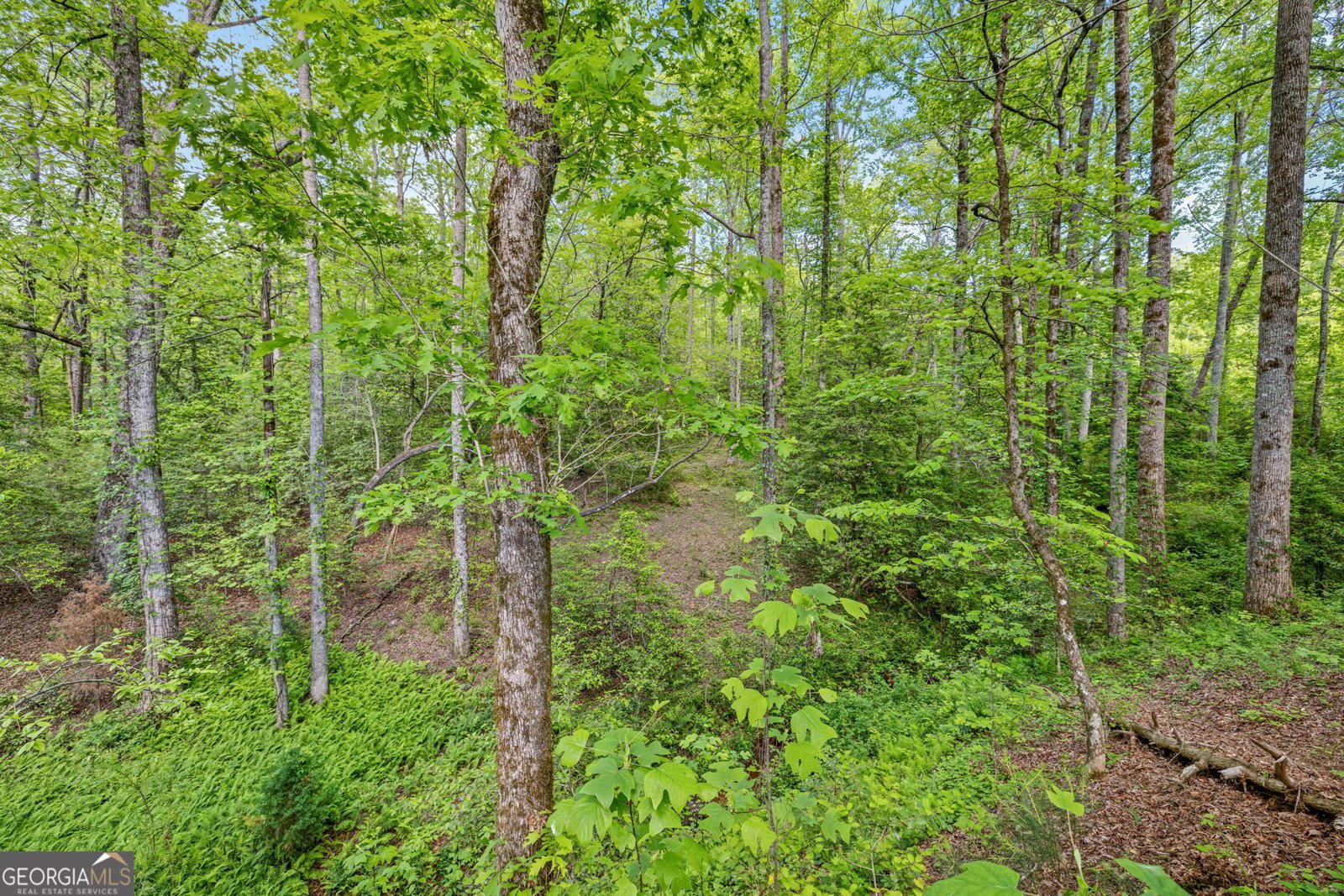 135 Mountain Ridge Drive Clarkesville - 4