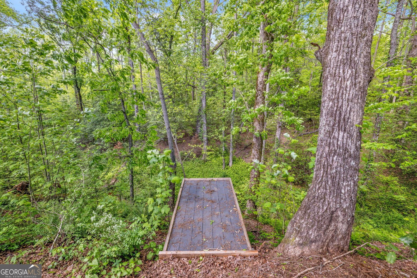 135 Mountain Ridge Drive Clarkesville - 51