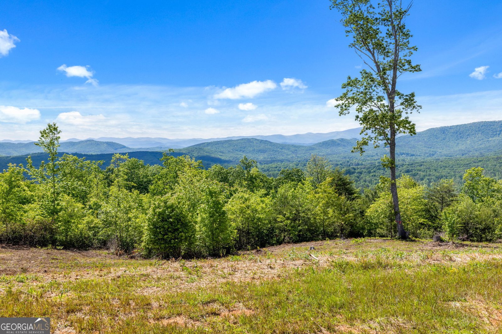 135 Mountain Ridge Drive Clarkesville - 7