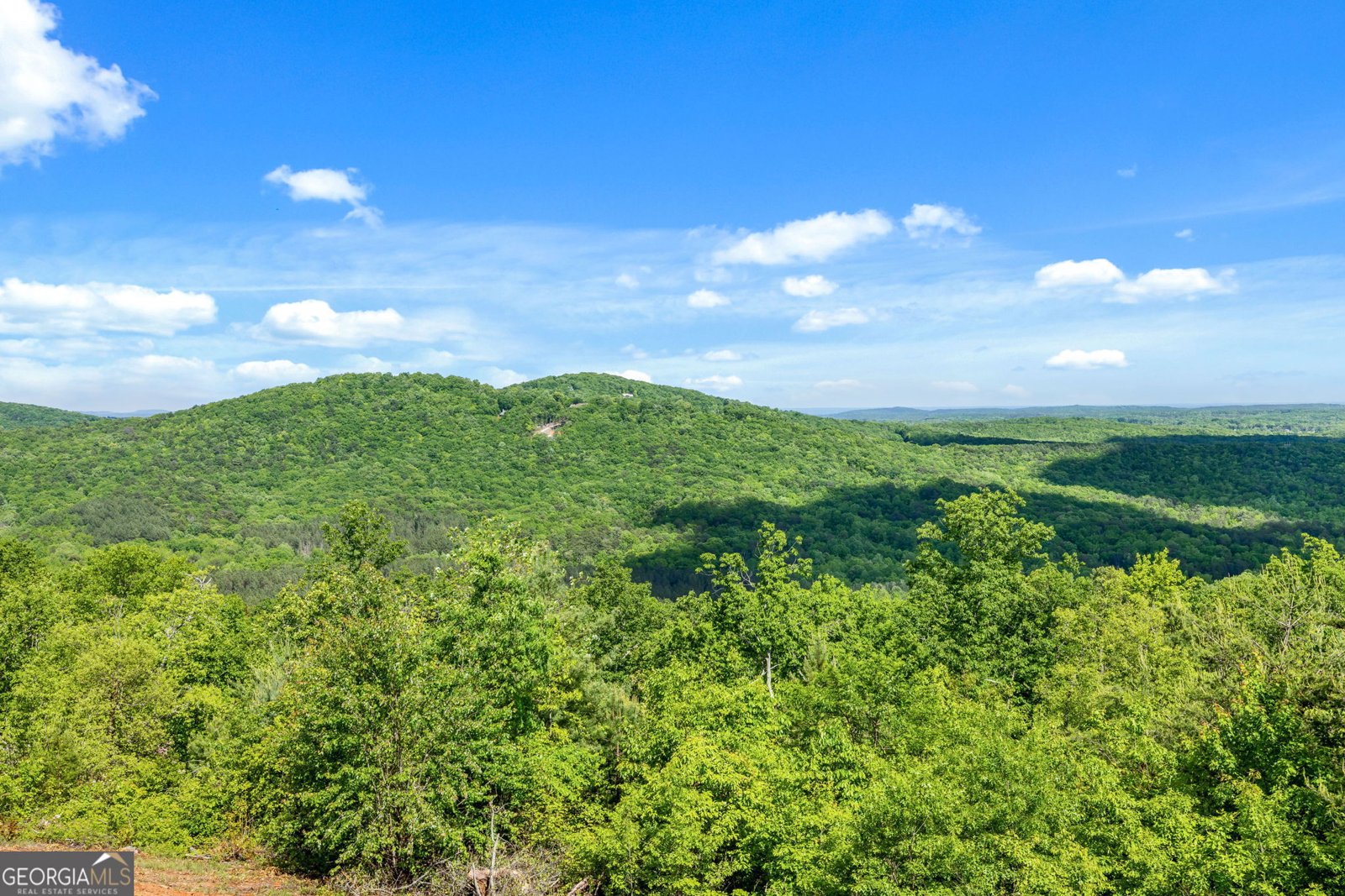 135 Mountain Ridge Drive Clarkesville - 9