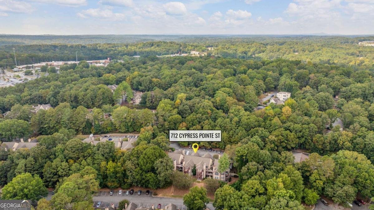 712 Cypress Pointe Street Alpharetta - 29