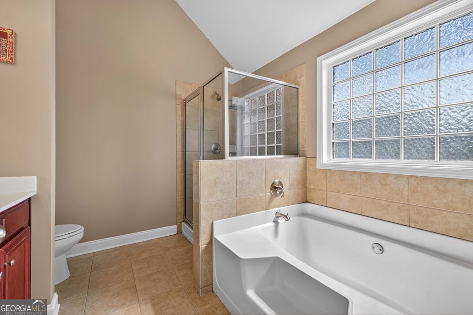 4376 Water Mill Drive Buford - 28