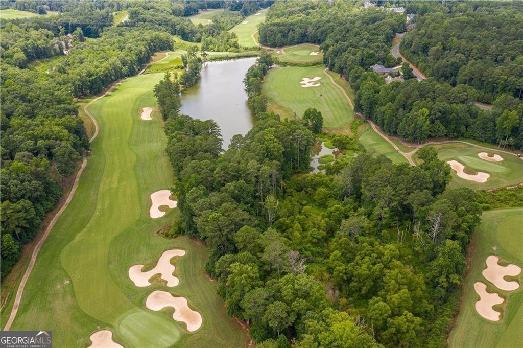 241 TRADITIONS Drive Alpharetta - 55