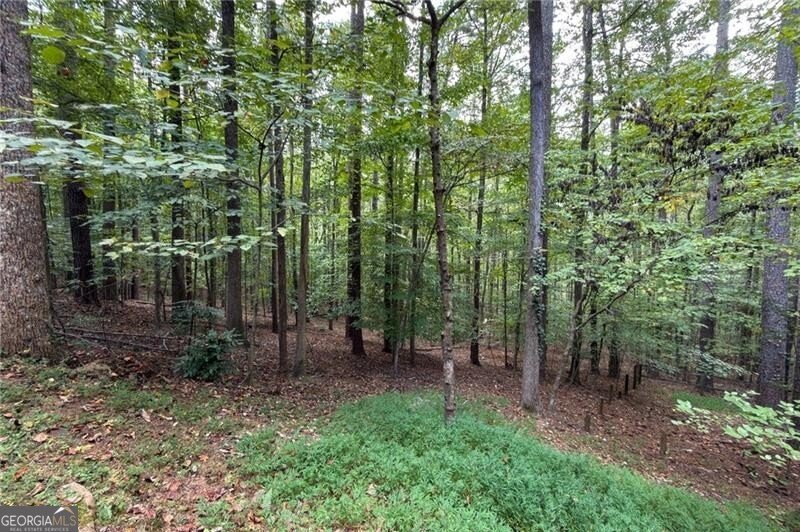 2507 Blaydon Pointe Kennesaw - 35