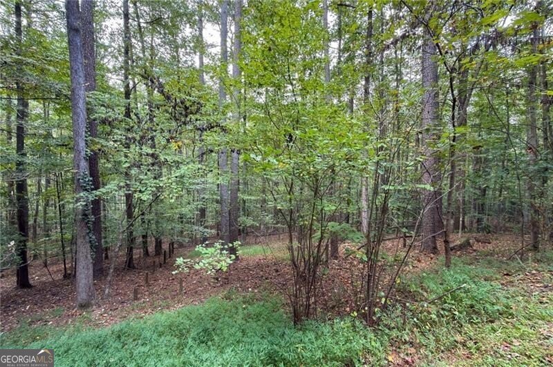 2507 Blaydon Pointe Kennesaw - 42