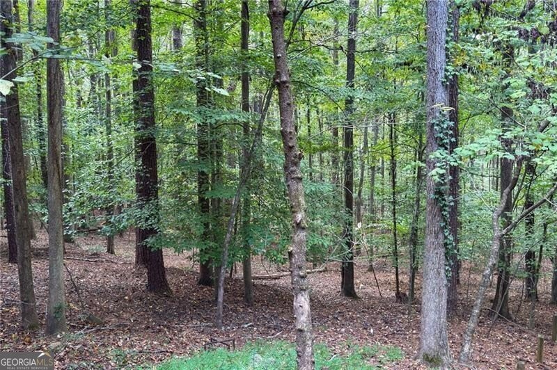 2507 Blaydon Pointe Kennesaw - 43
