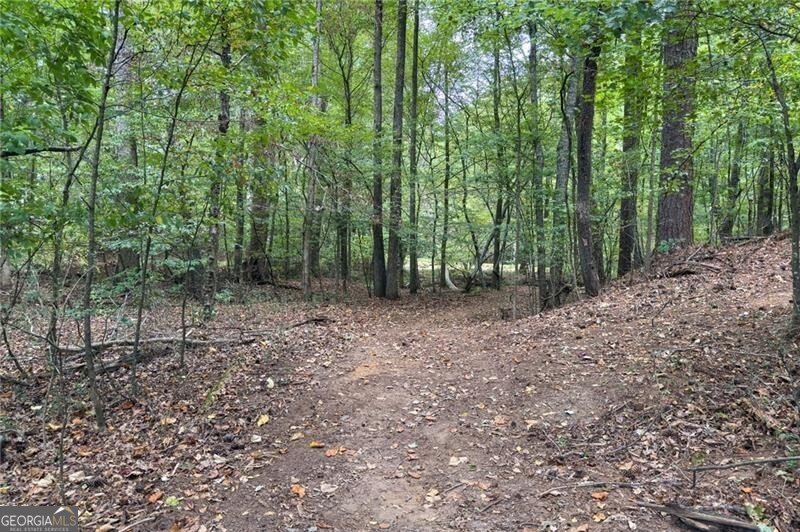 2507 Blaydon Pointe Kennesaw - 44