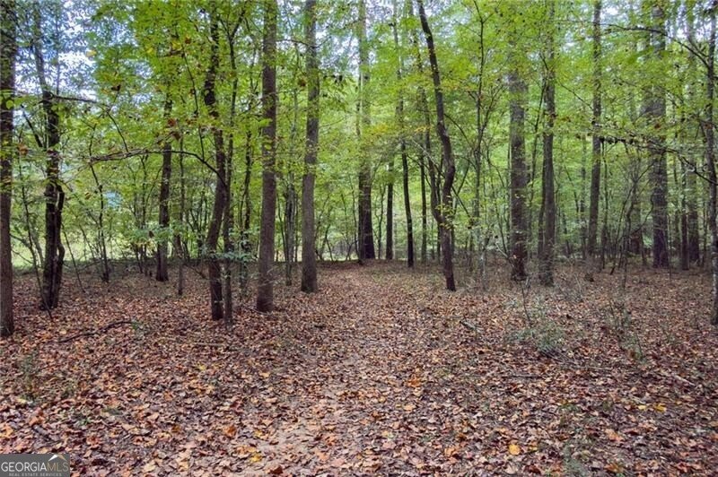 2507 Blaydon Pointe Kennesaw - 47