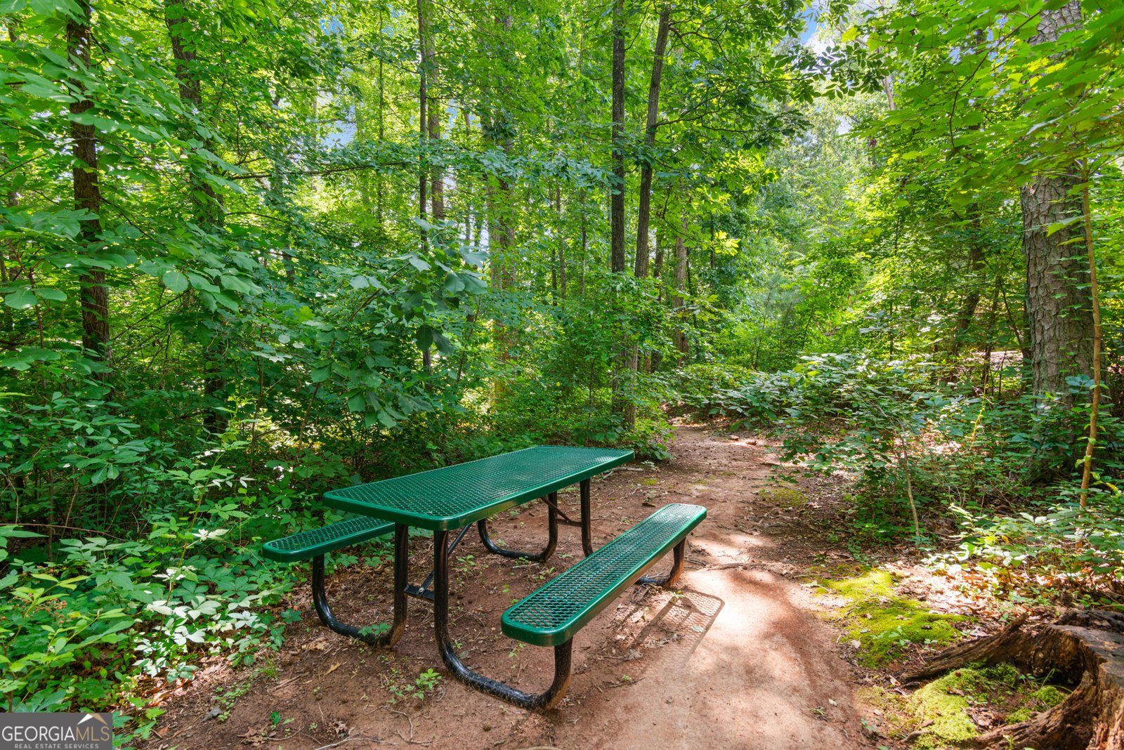 4486 Huffman Drive Roswell - 18