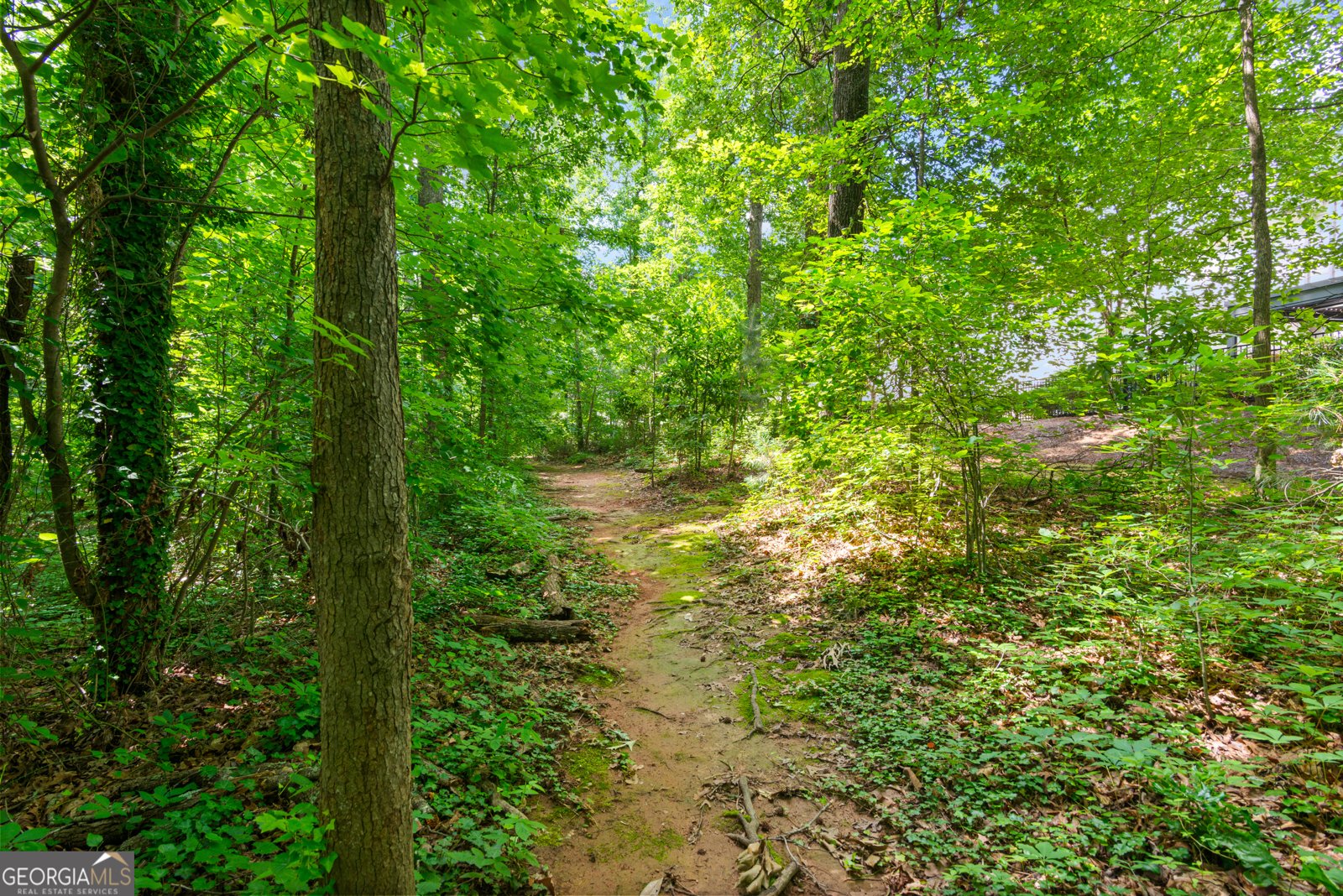 4486 Huffman Drive Roswell - 19