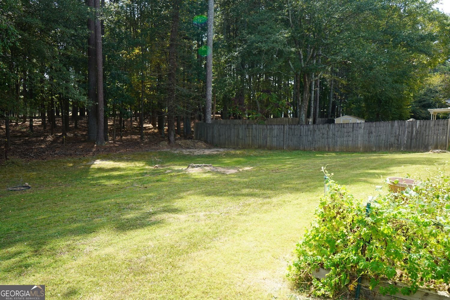 3765 Brushy Wood Drive Loganville - 3