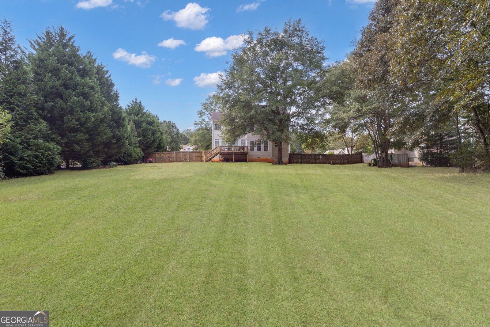 124 Mount Moriah Drive Senoia - 10