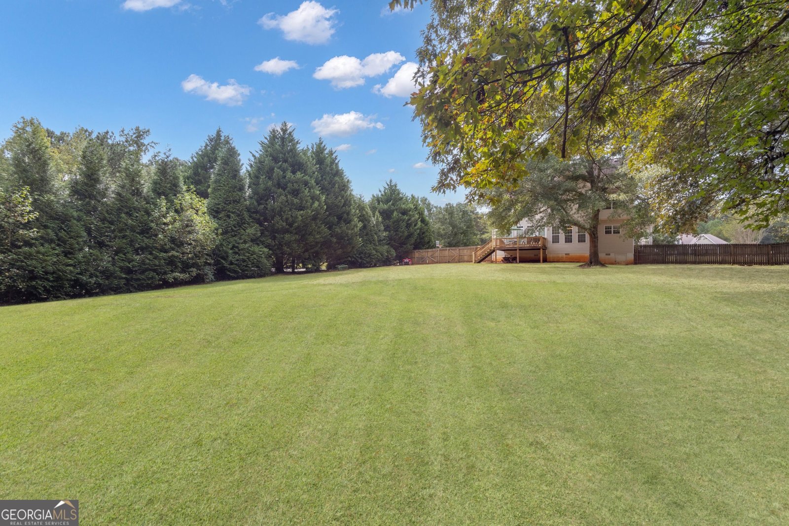 124 Mount Moriah Drive Senoia - 12