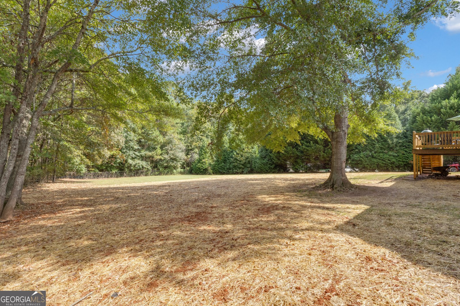 124 Mount Moriah Drive Senoia - 13