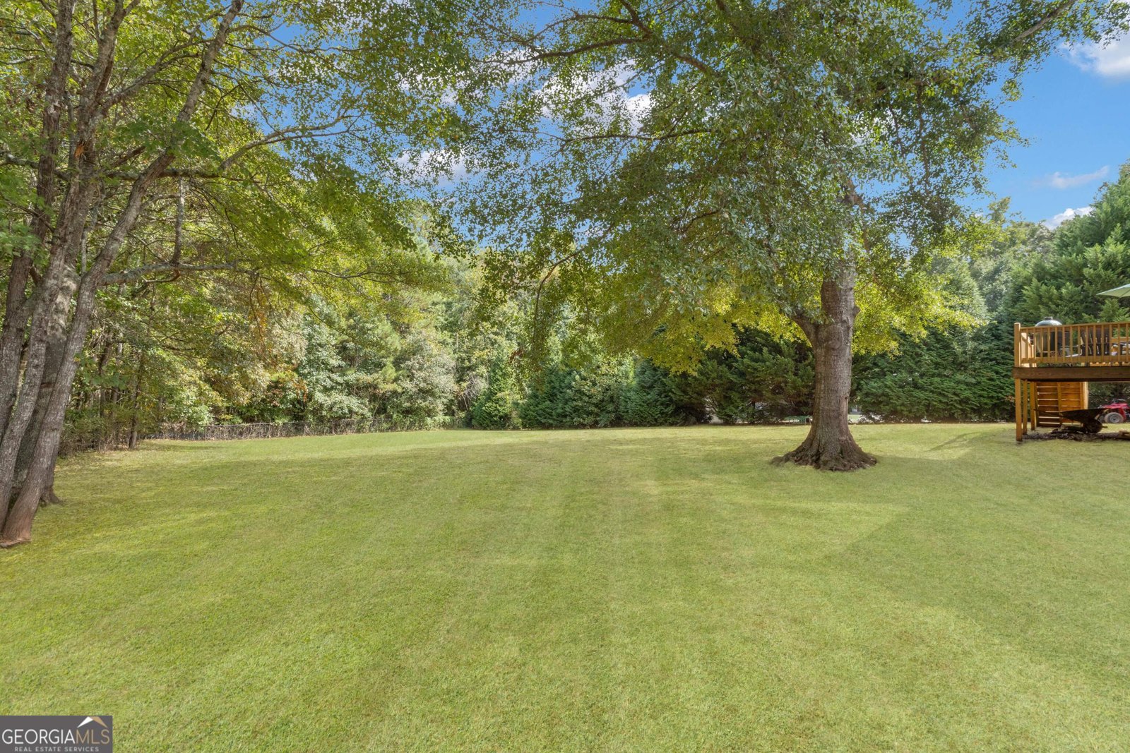 124 Mount Moriah Drive Senoia - 14