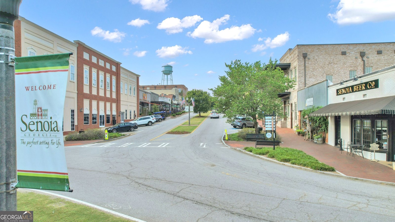 124 Mount Moriah Drive Senoia - 16