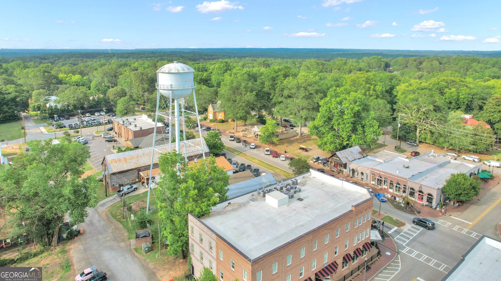 124 Mount Moriah Drive Senoia - 18