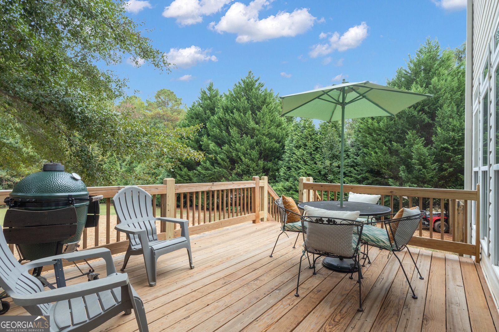 124 Mount Moriah Drive Senoia - 22