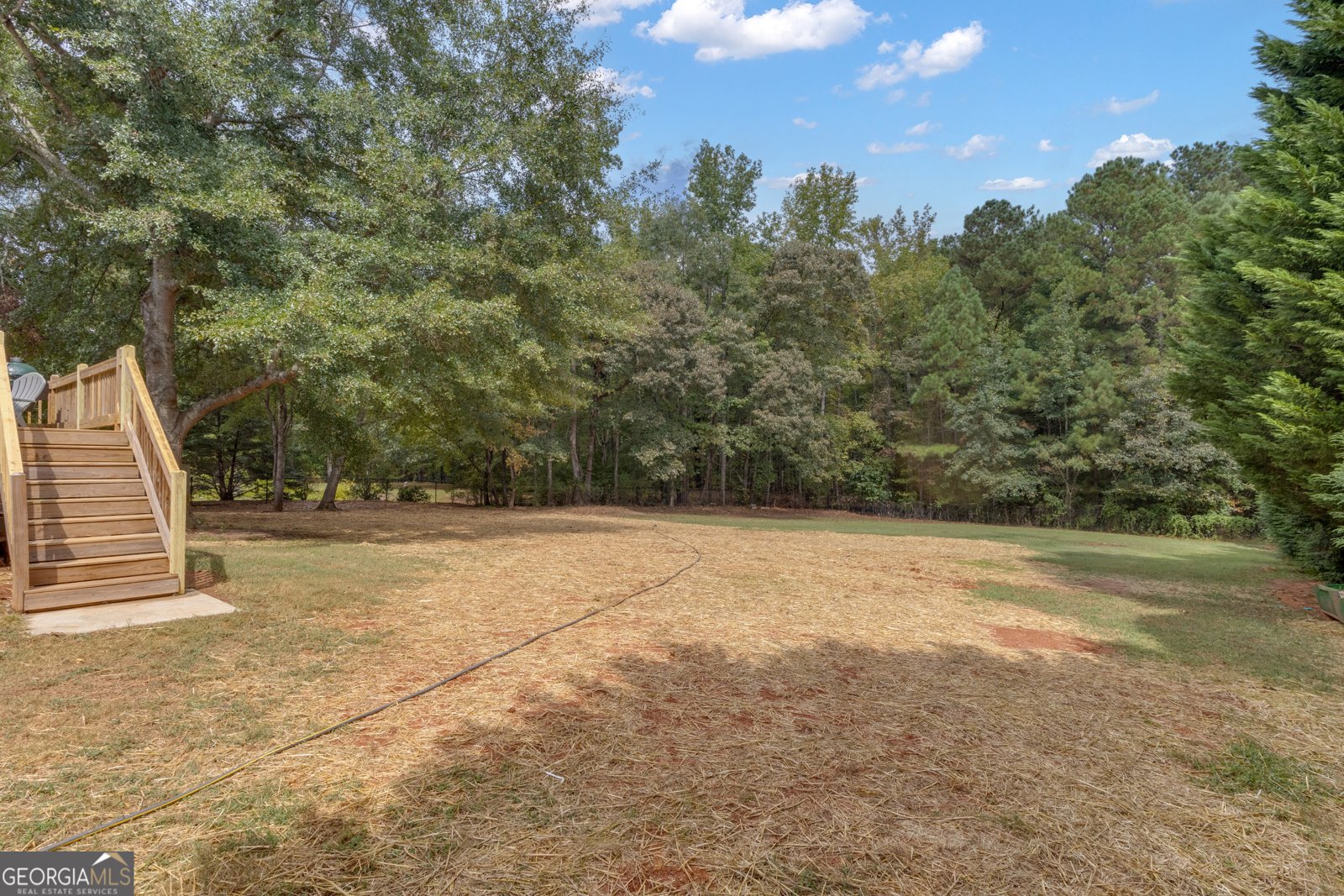 124 Mount Moriah Drive Senoia - 3