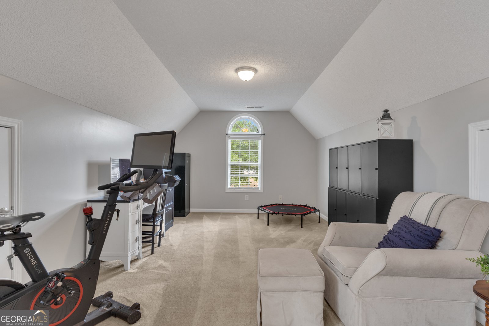 124 Mount Moriah Drive Senoia - 33