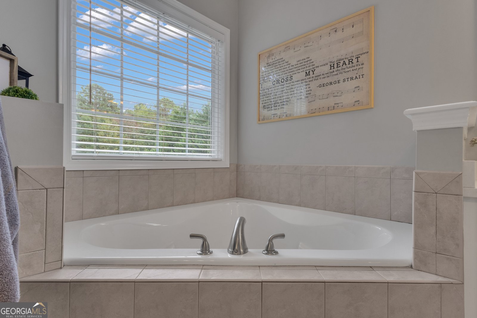 124 Mount Moriah Drive Senoia - 39
