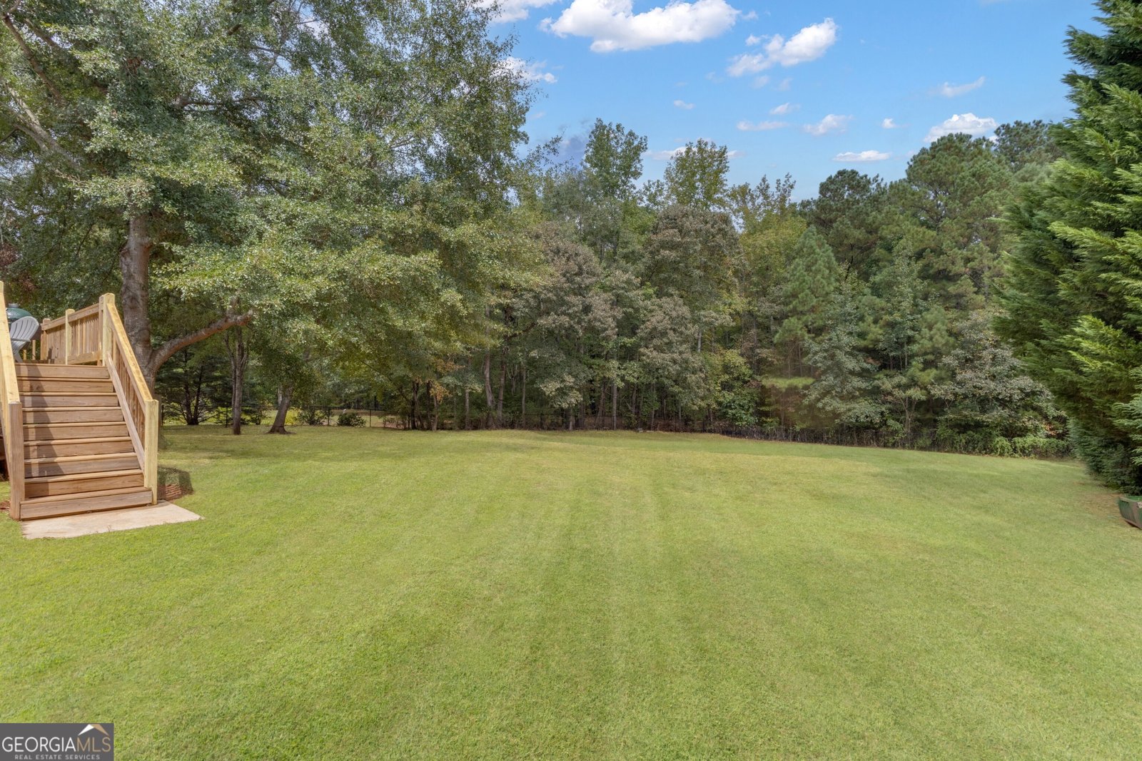 124 Mount Moriah Drive Senoia - 4