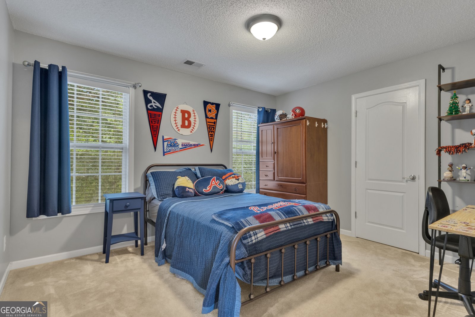124 Mount Moriah Drive Senoia - 41