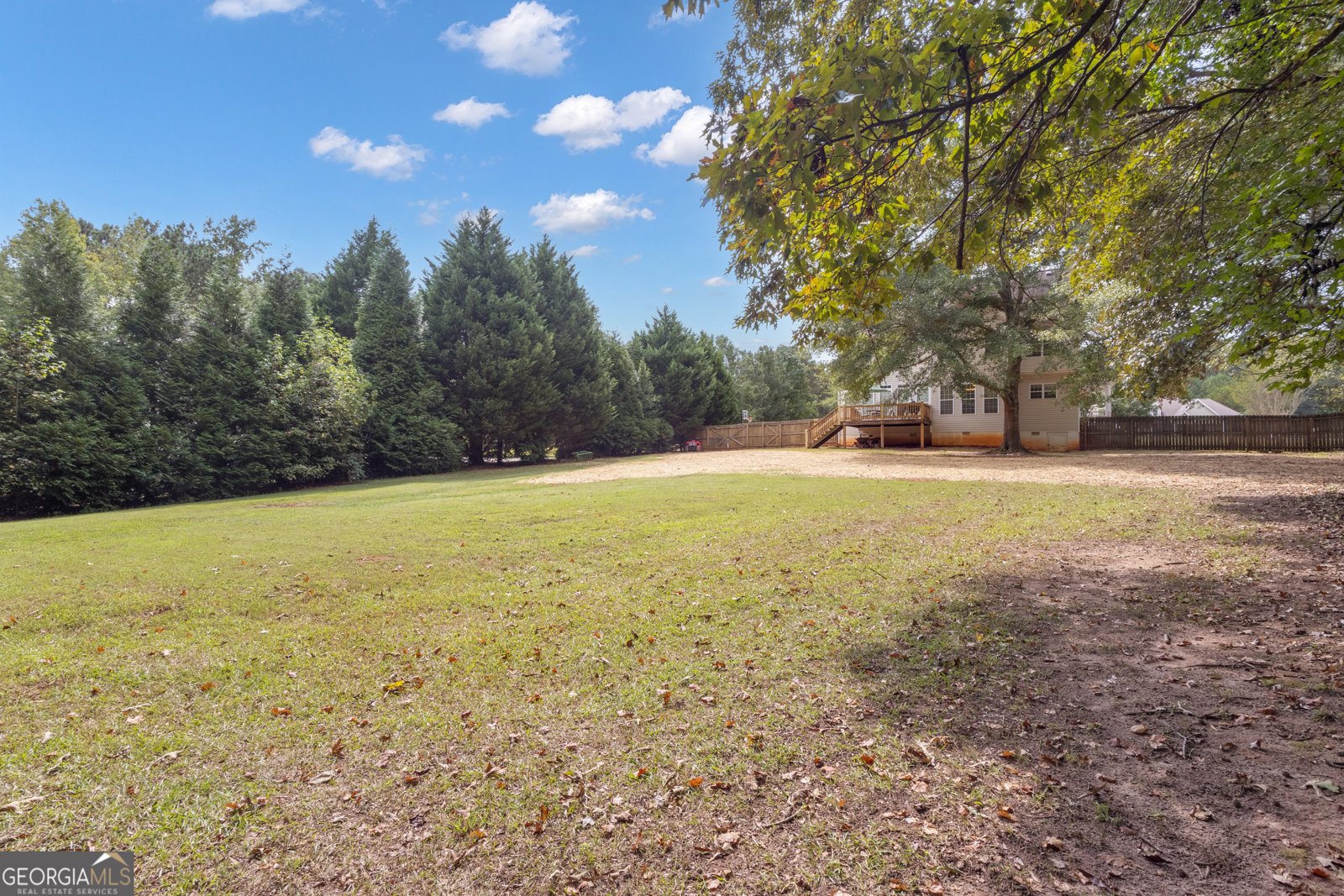 124 Mount Moriah Drive Senoia - 61