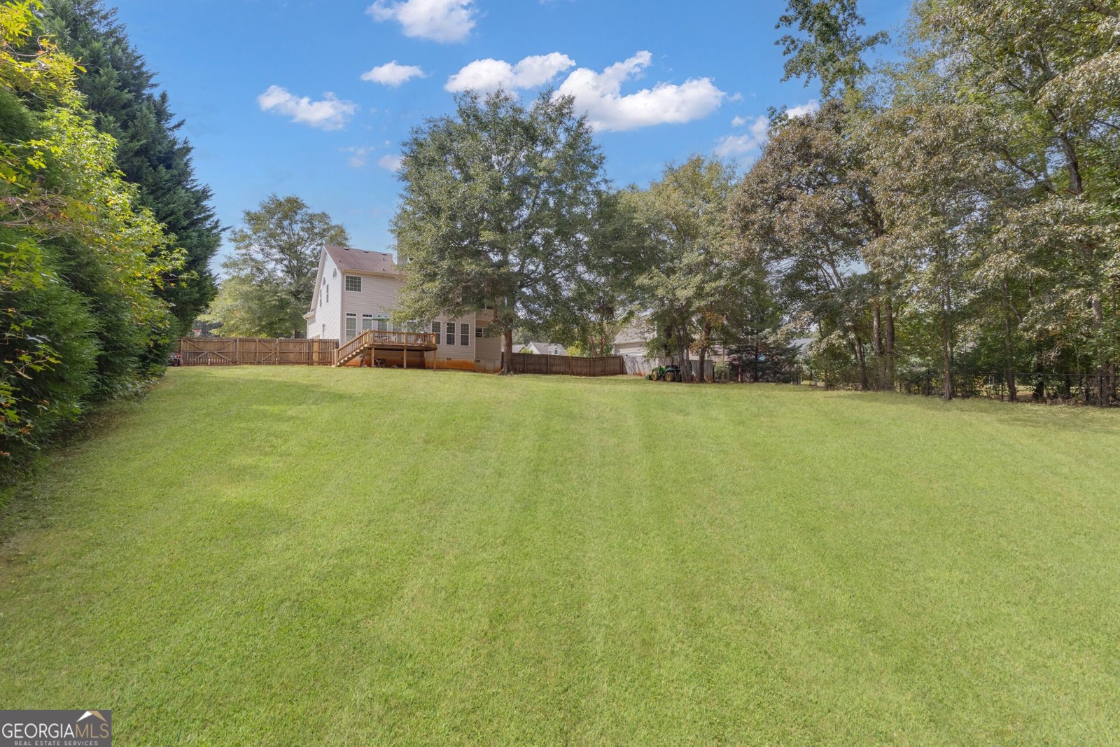124 Mount Moriah Drive Senoia - 8