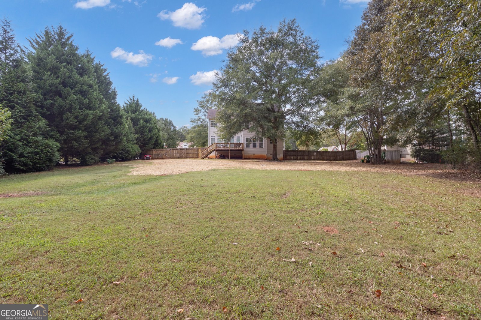 124 Mount Moriah Drive Senoia - 9
