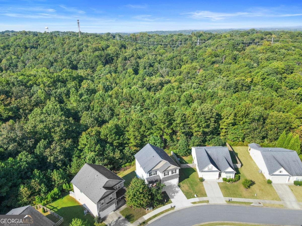 511 Autumn Echo Canton - 48