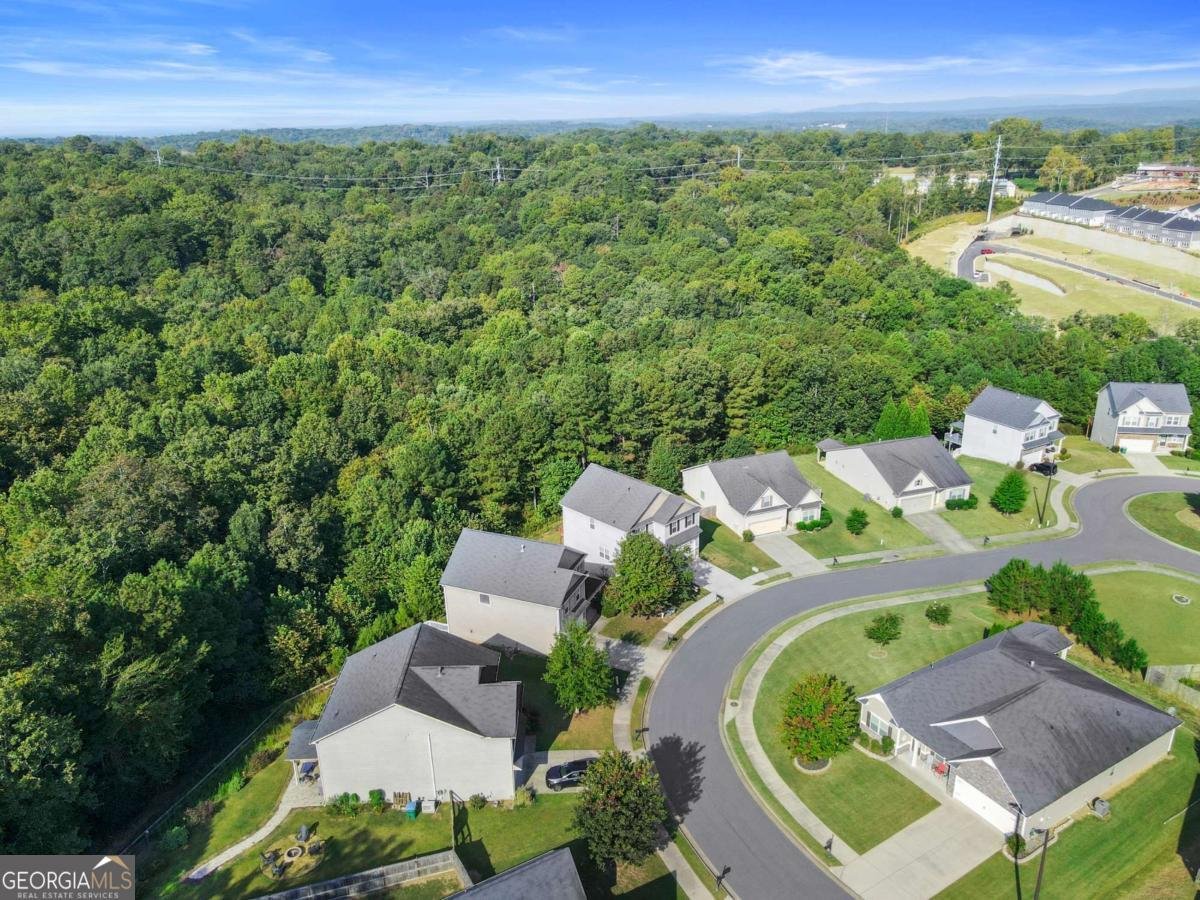511 Autumn Echo Canton - 49
