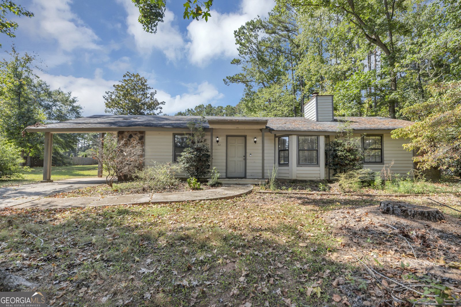 22 Barberry Drive Newnan - 2