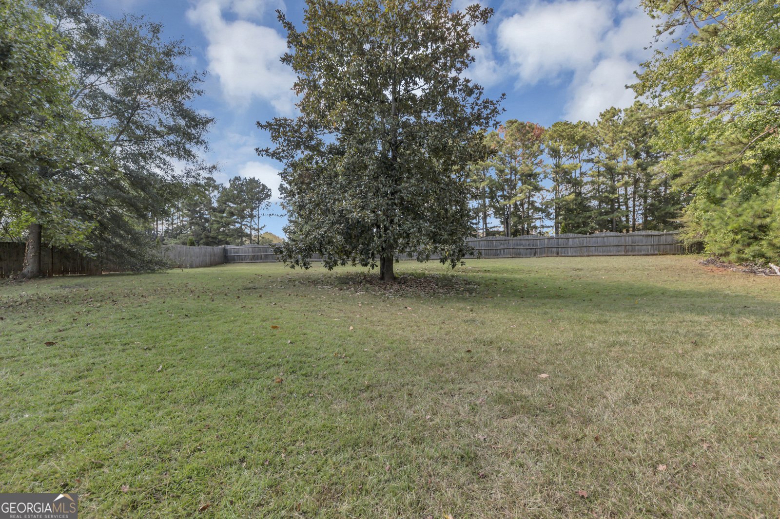 22 Barberry Drive Newnan - 26