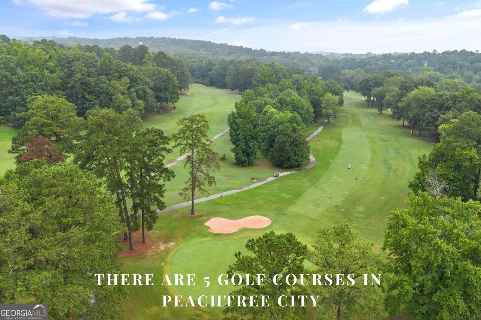940 Laurel Brooke Avenue Peachtree City - 54