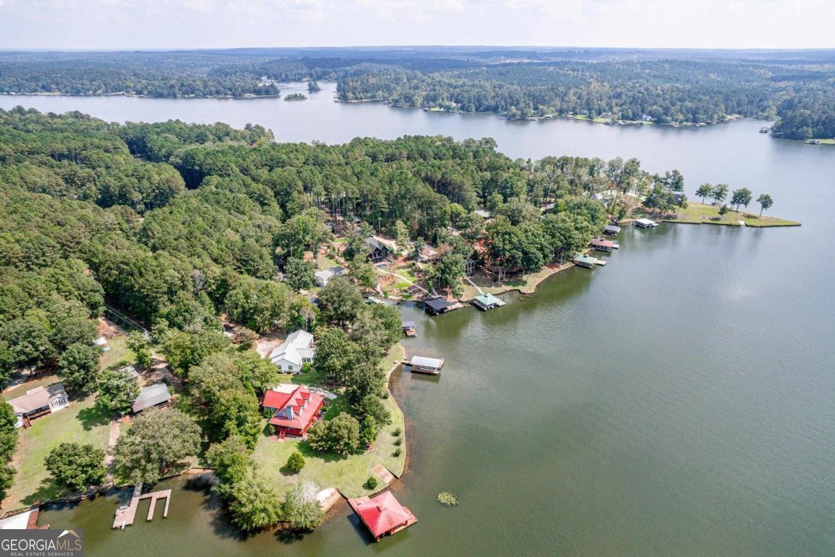 220 Rockville Springs Drive Eatonton - 36