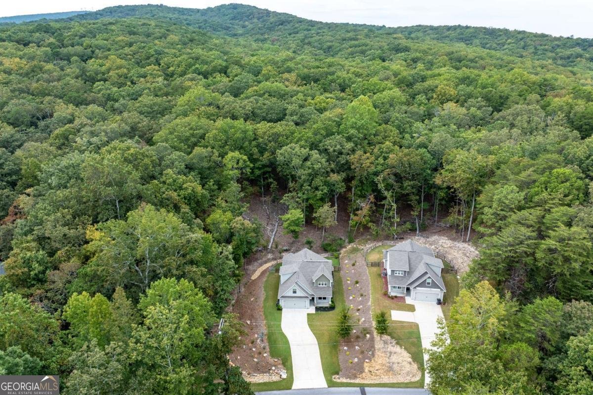 173 Ridgewood Drive Waleska - 45