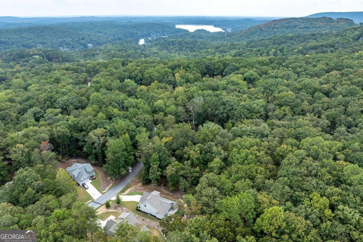 173 Ridgewood Drive Waleska - 46