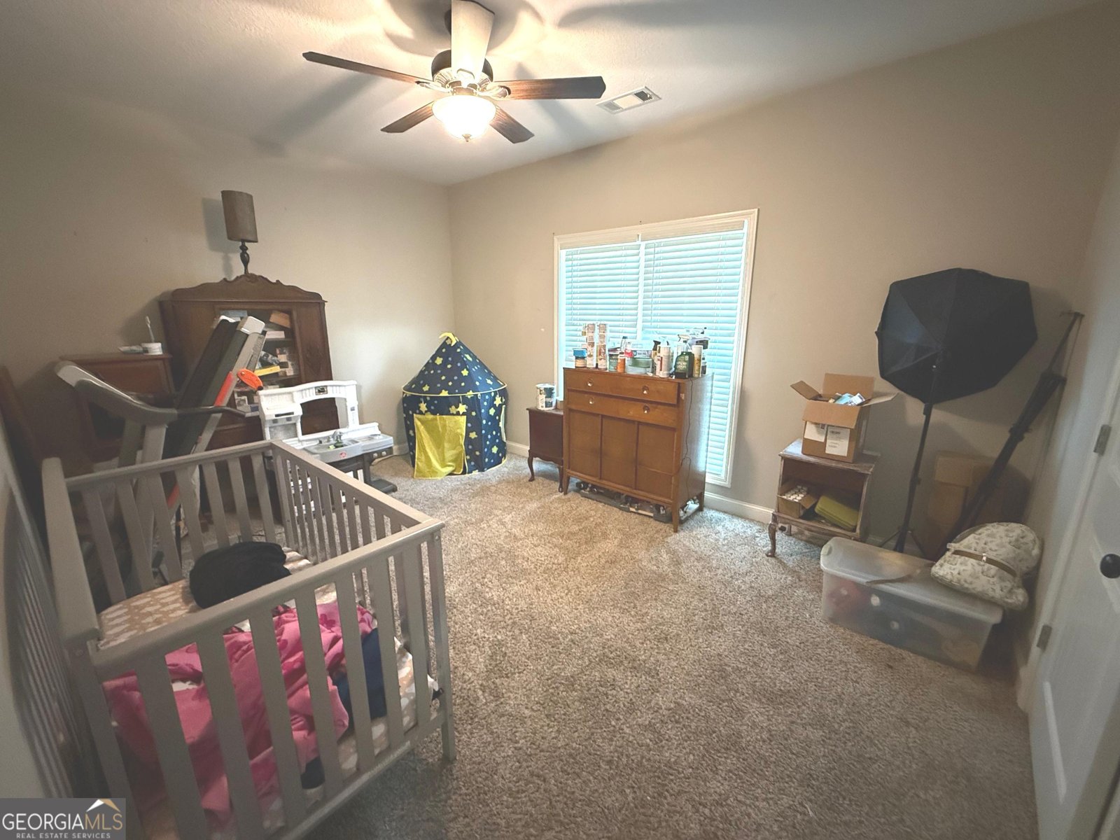 136 Sweet Briar Trail Statesboro - 13