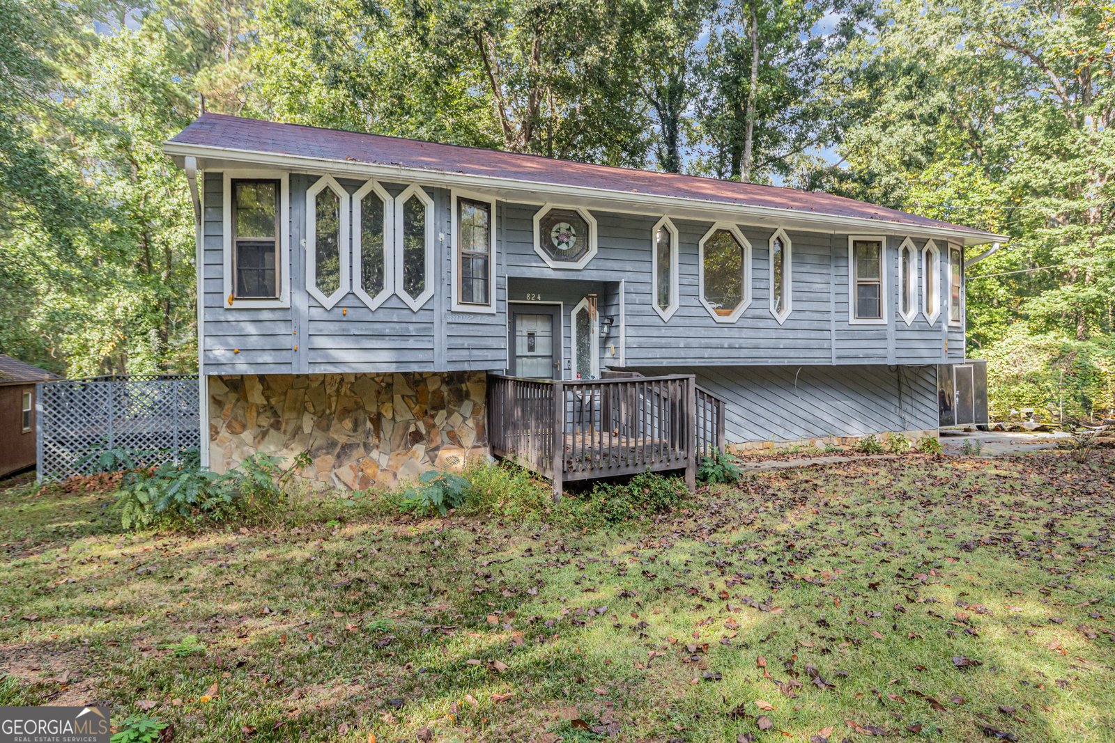 824 Cedar Lake Drive Conyers - 2