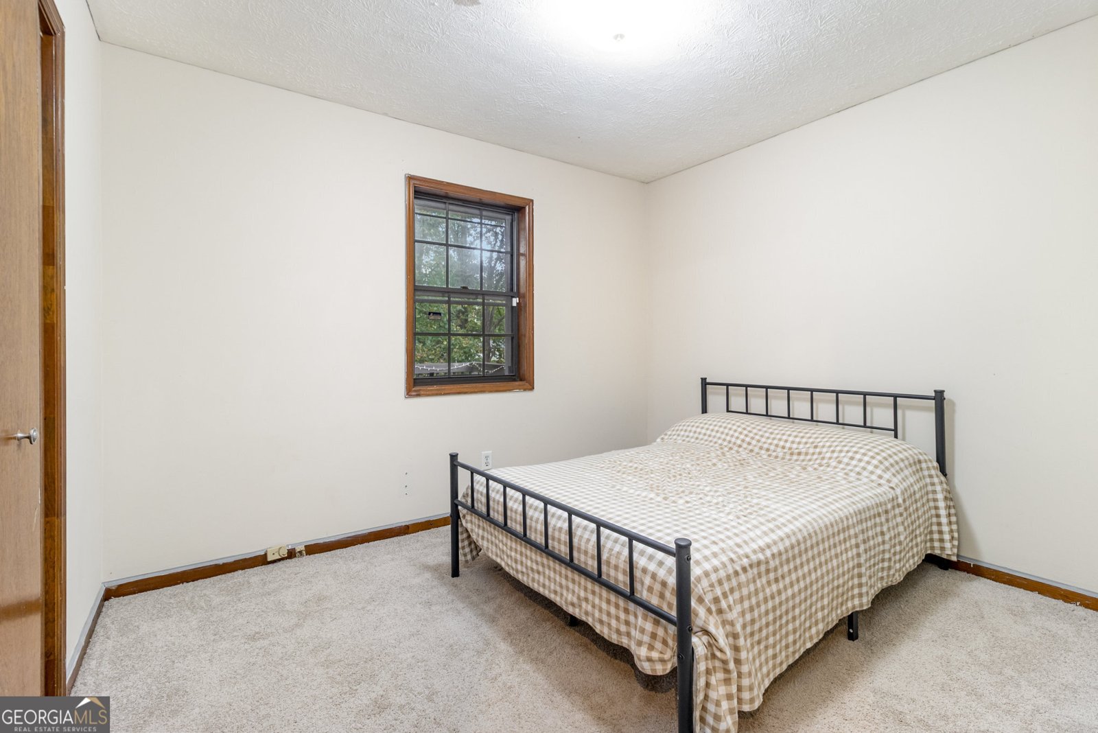 824 Cedar Lake Drive Conyers - 20