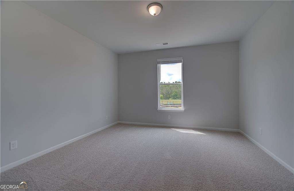 108 Felicity Pike Locust Grove - 8