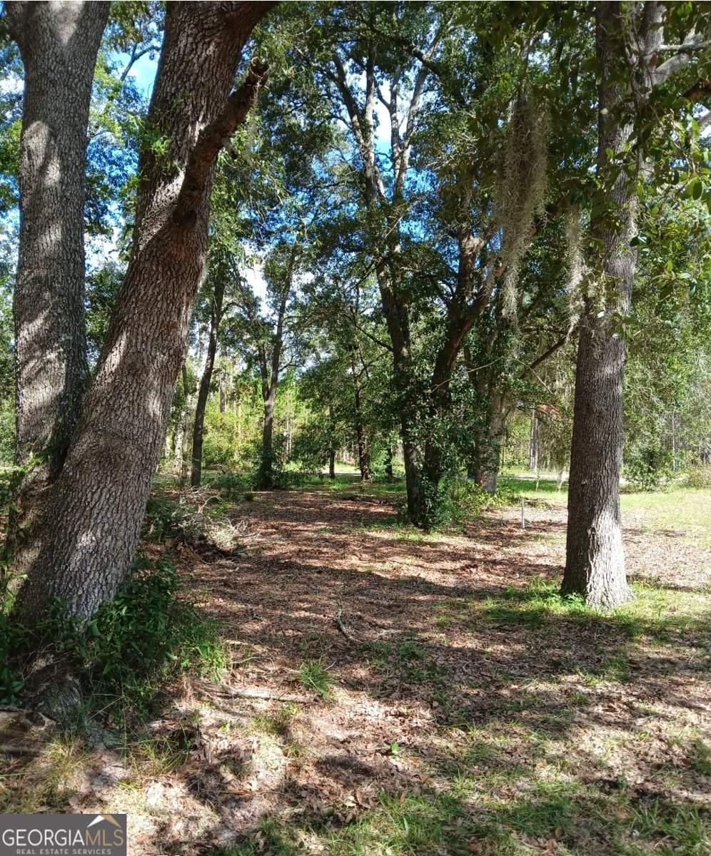 941 Ralph Davis Road Folkston - 4