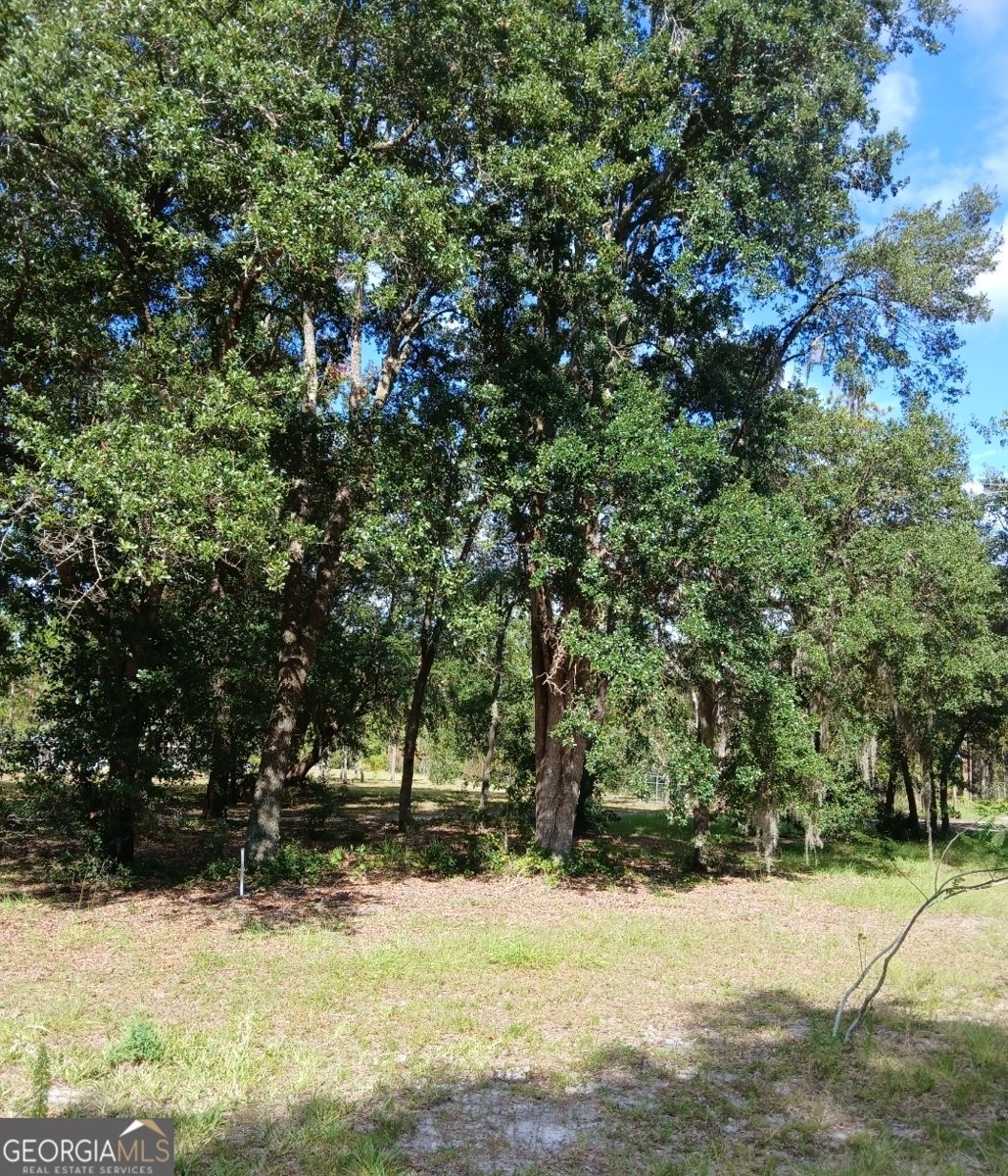 941 Ralph Davis Road Folkston - 6